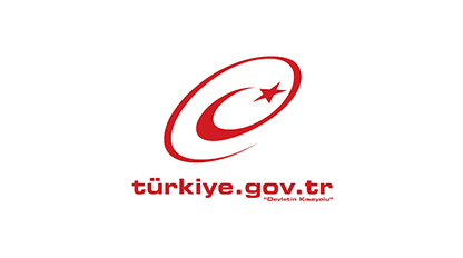e devlet